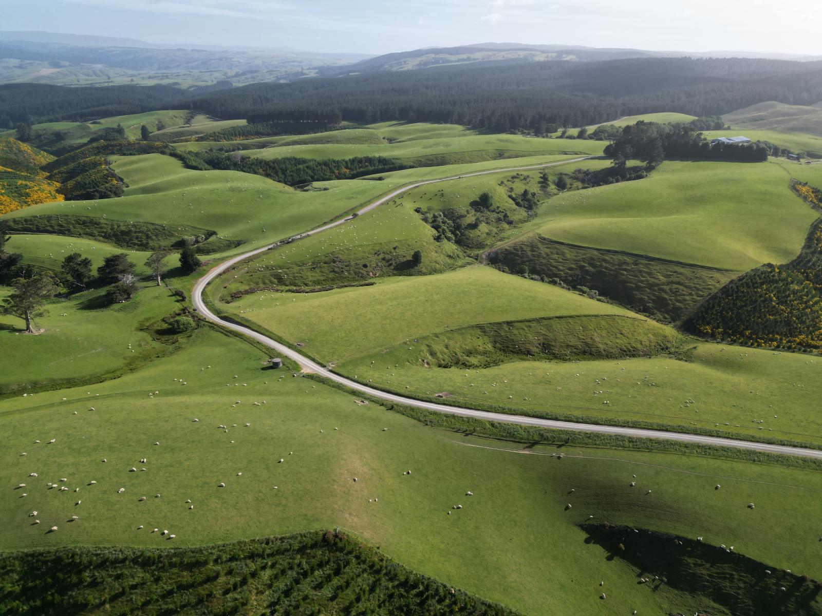 759 Waitahuna Gully Road, Manuka Creek