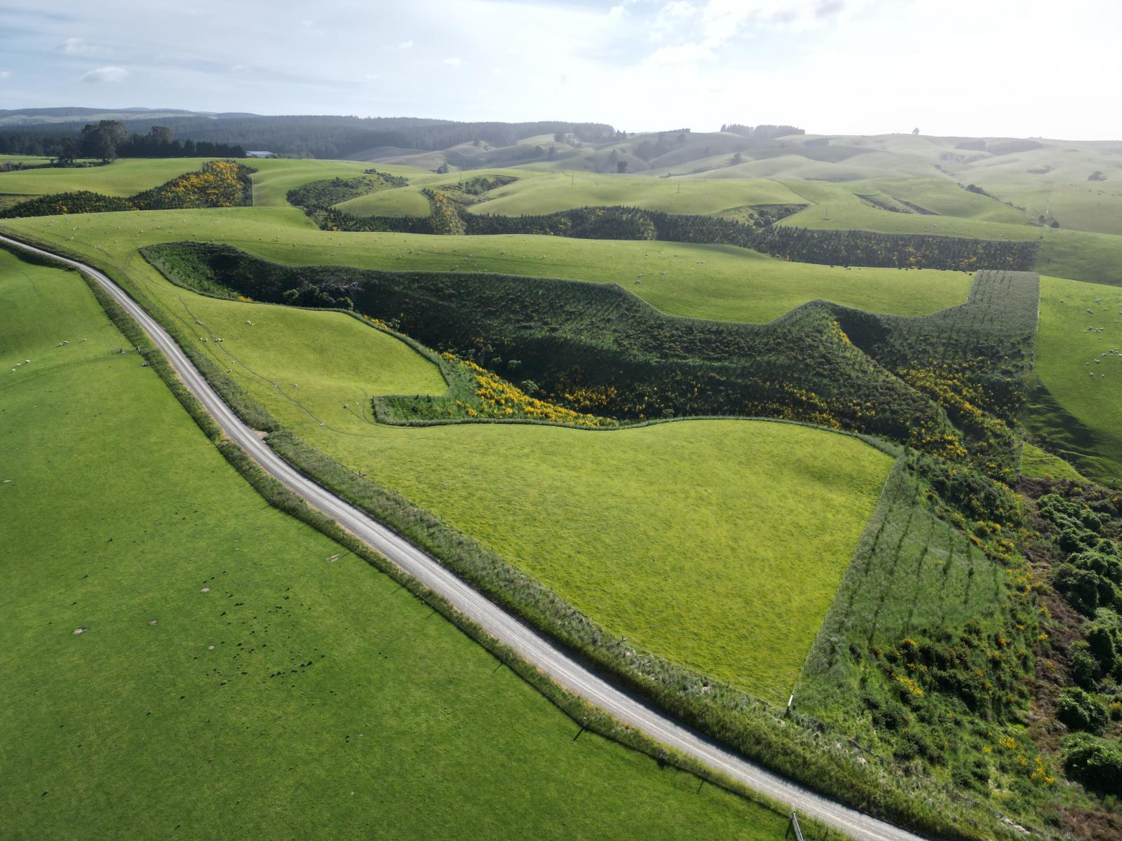 759 Waitahuna Gully Road, Manuka Creek