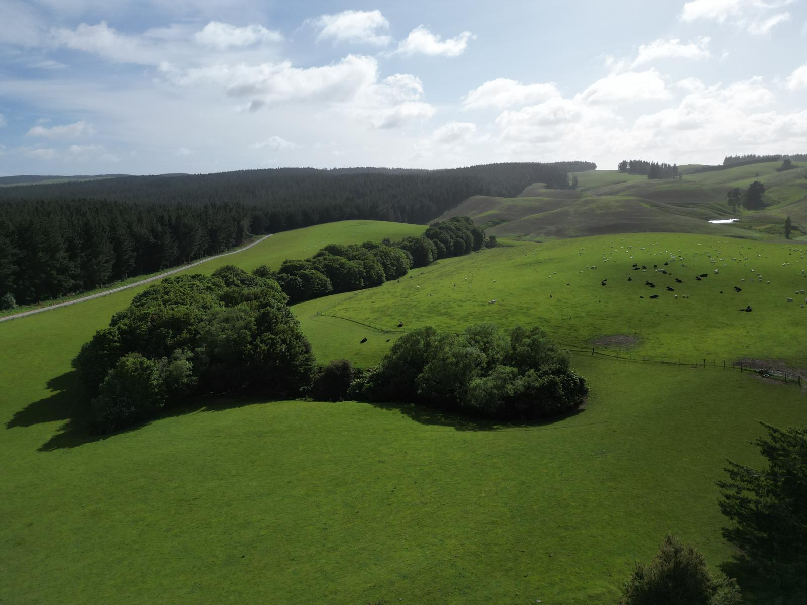 759 Waitahuna Gully Road, Manuka Creek