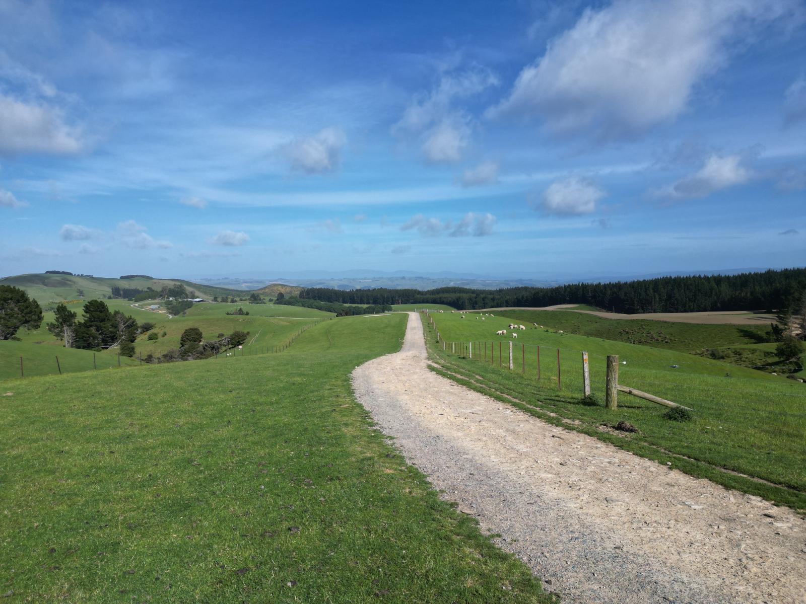759 Waitahuna Gully Road, Manuka Creek