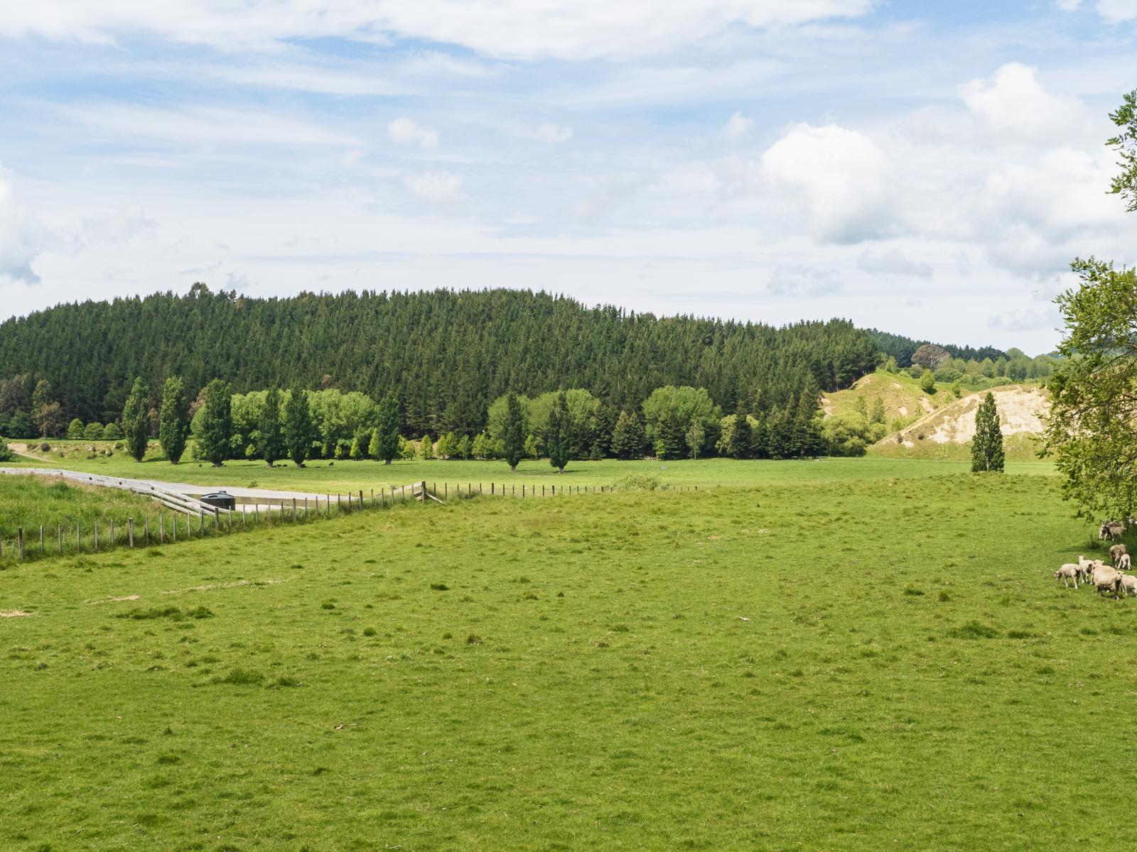 Lot 4, 508 River Road, Otane