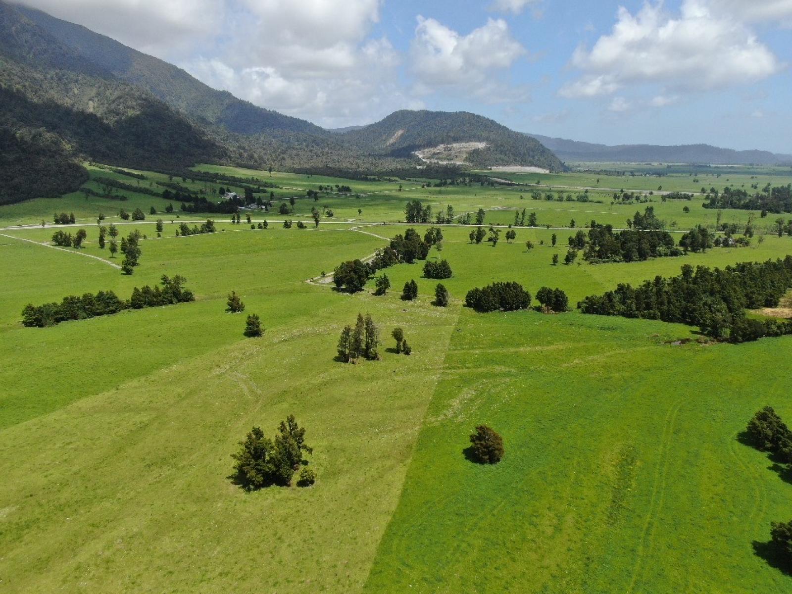 2778 Whataroa Highway, Whataroa