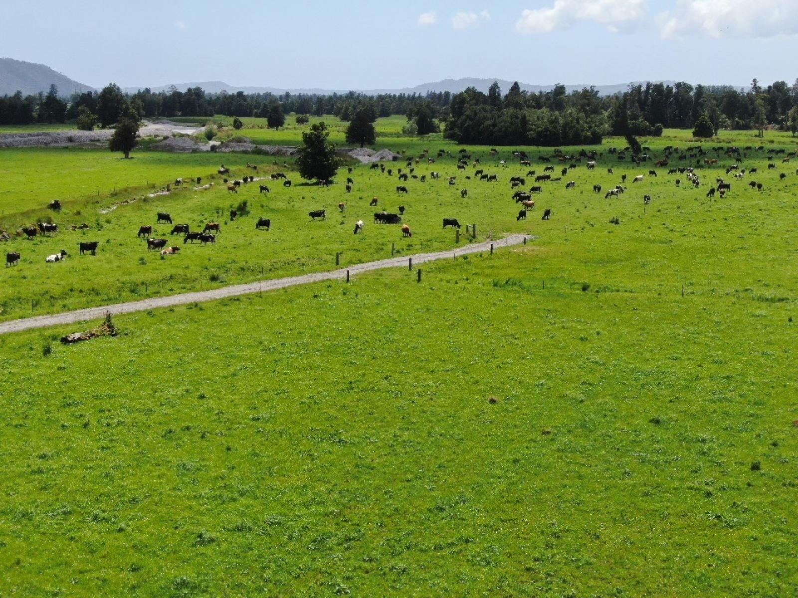 2778 Whataroa Highway, Whataroa