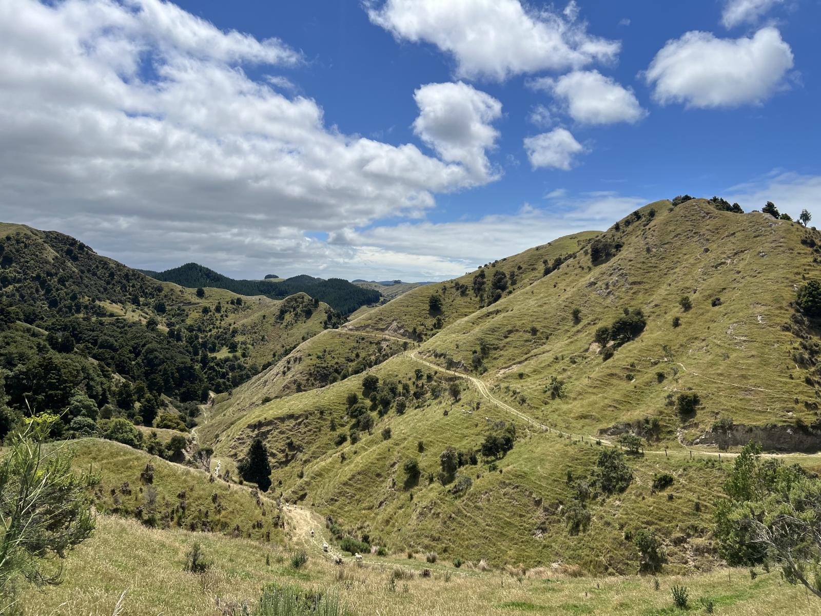 310 Branscombe Road, Akitio 