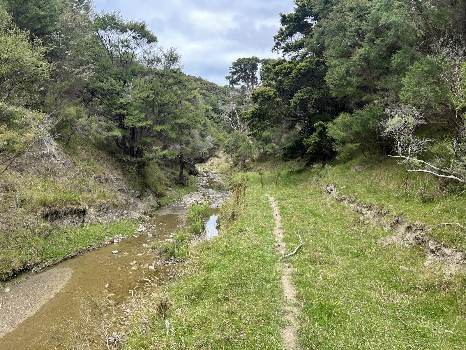 310 Branscombe Road, Akitio 