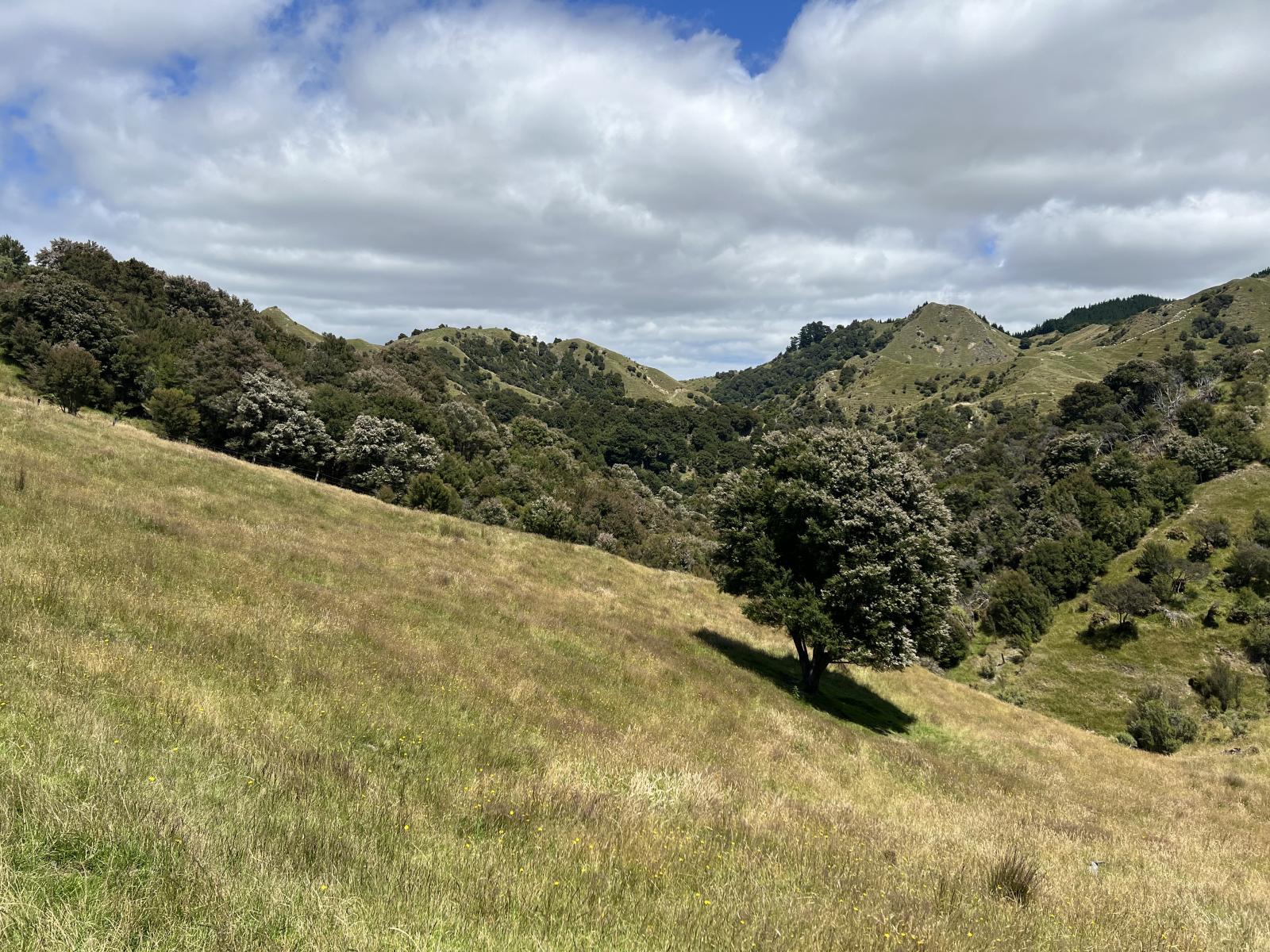 310 Branscombe Road, Akitio 