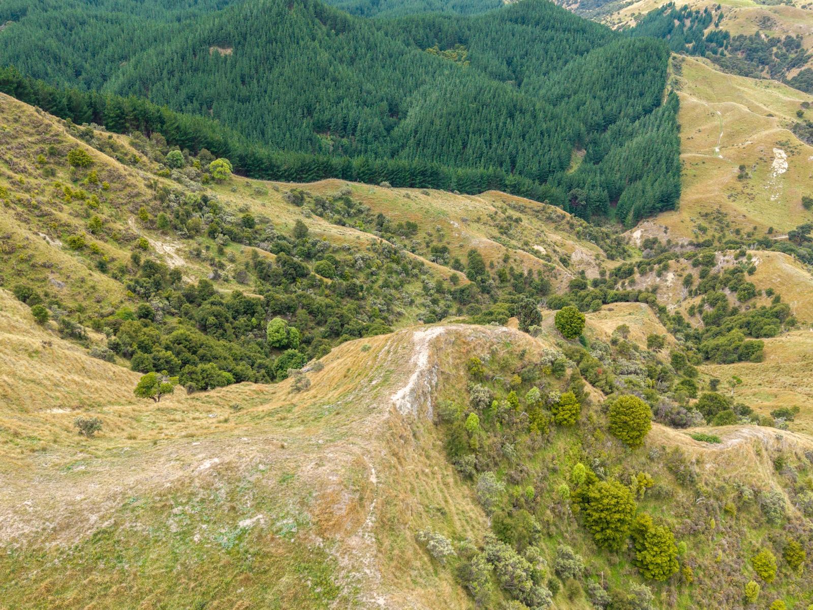 310 Branscombe Road, Akitio 