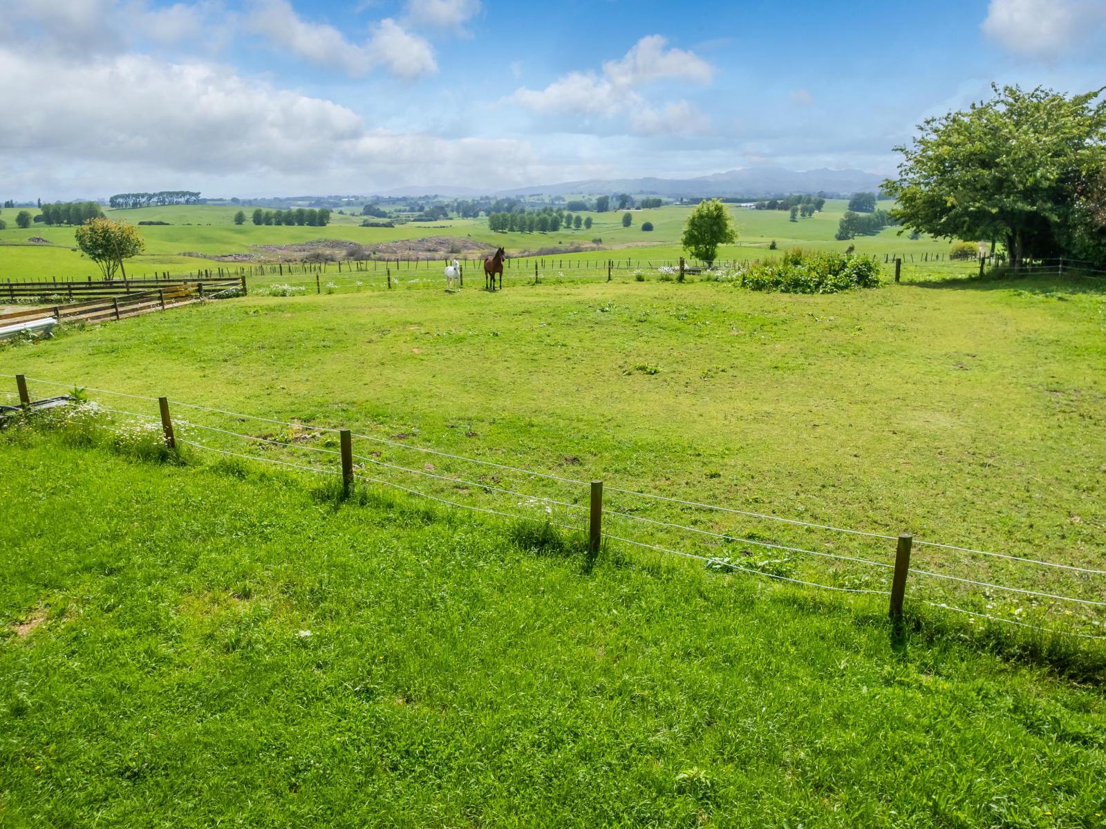 29A Wharepuhunga Road, Otorohanga