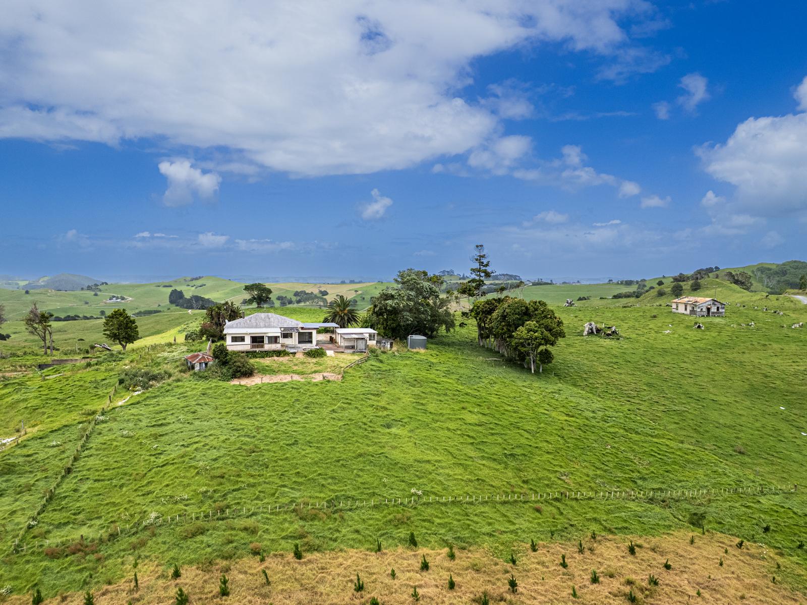 163 Bee Bush Road, Arapohue
