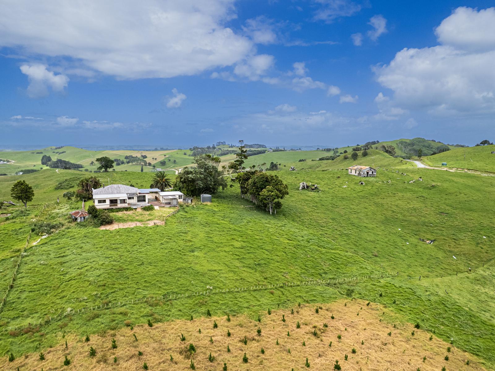 163 Bee Bush Road, Arapohue