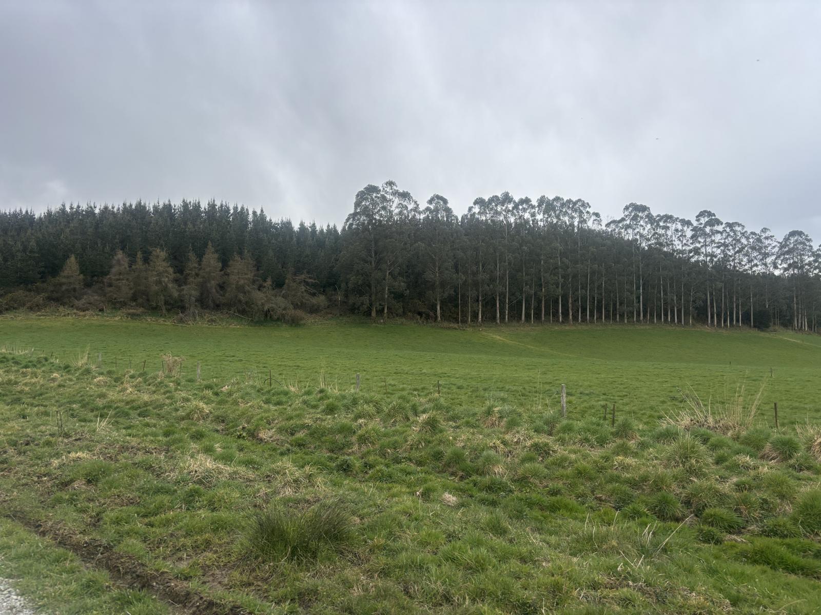 Opihi School Road, Pleasant Point