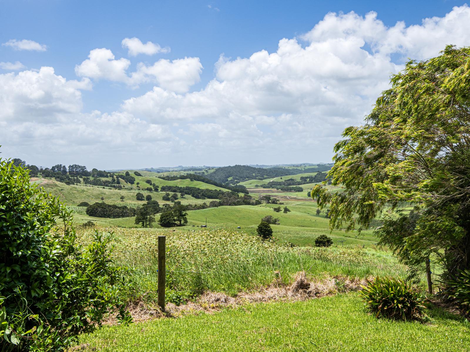 187 Bee Bush Road, Arapohue