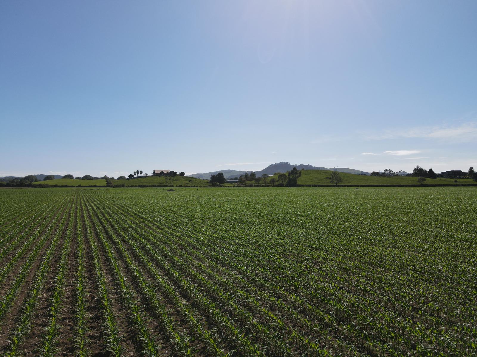 390 Marychurch Road, Matangi