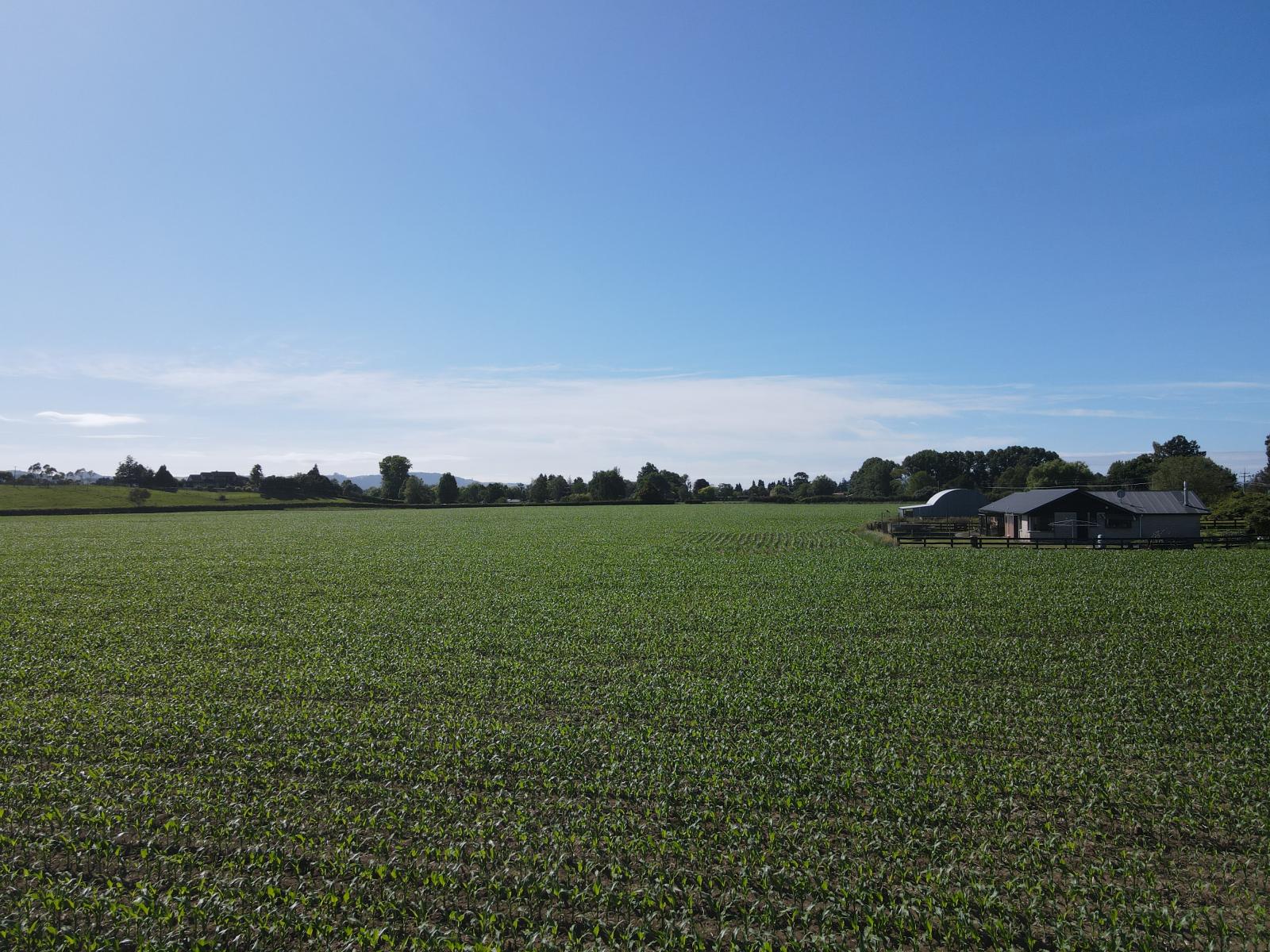 390 Marychurch Road, Matangi