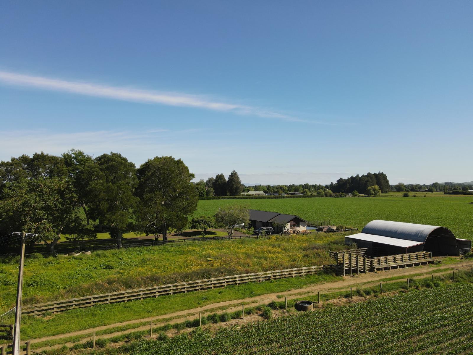 390 Marychurch Road, Matangi