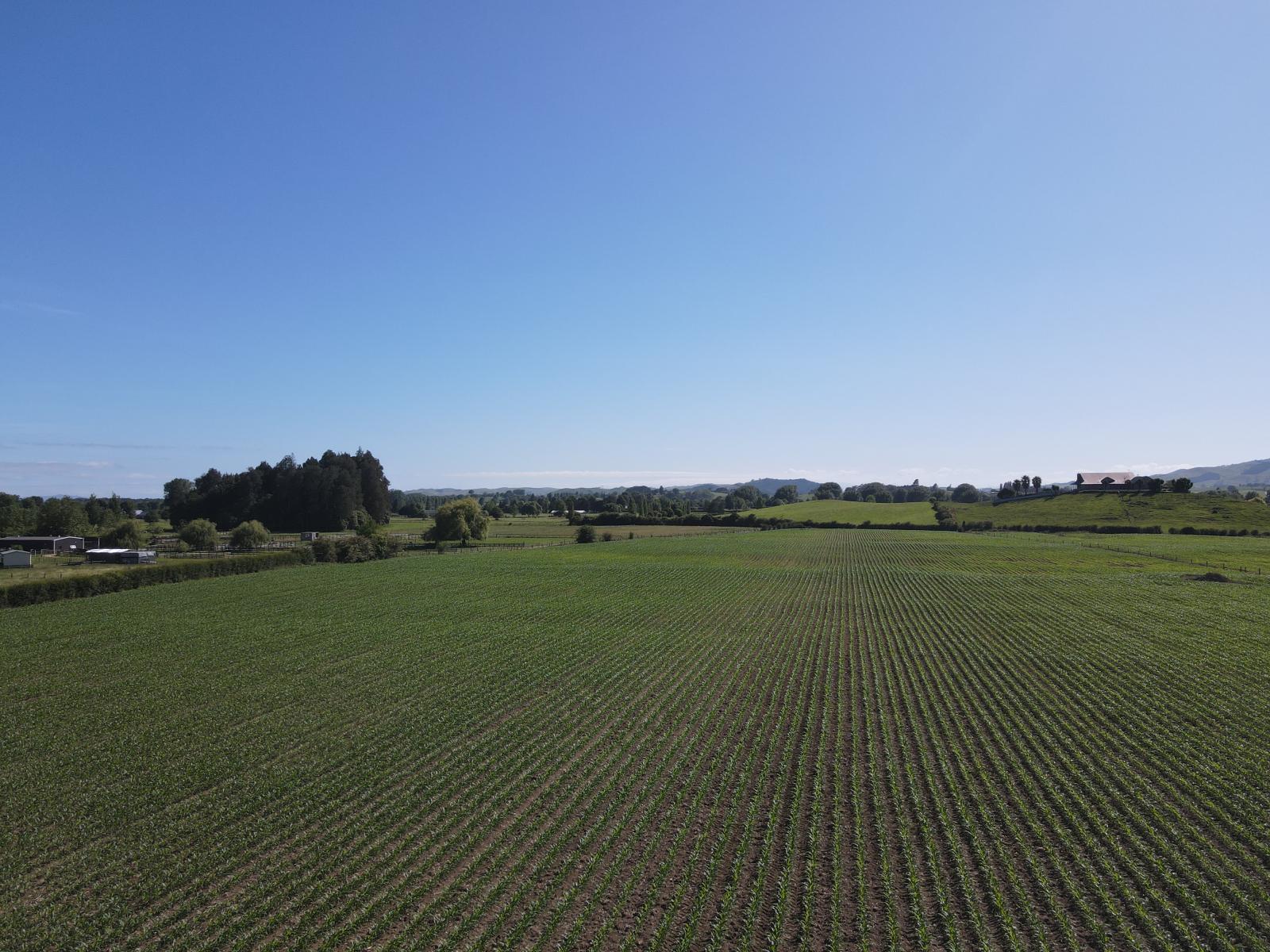 390 Marychurch Road, Matangi