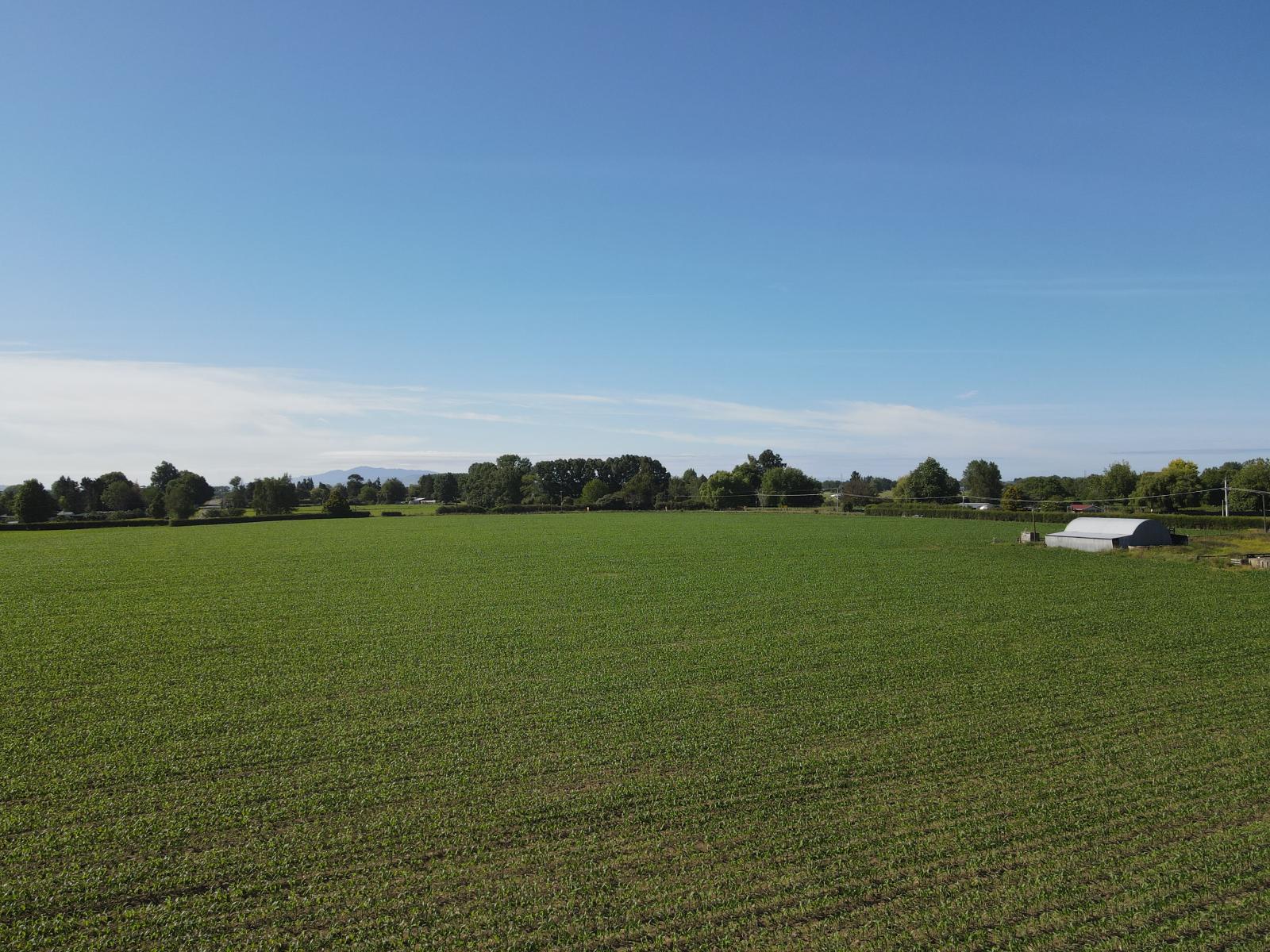 390 Marychurch Road, Matangi