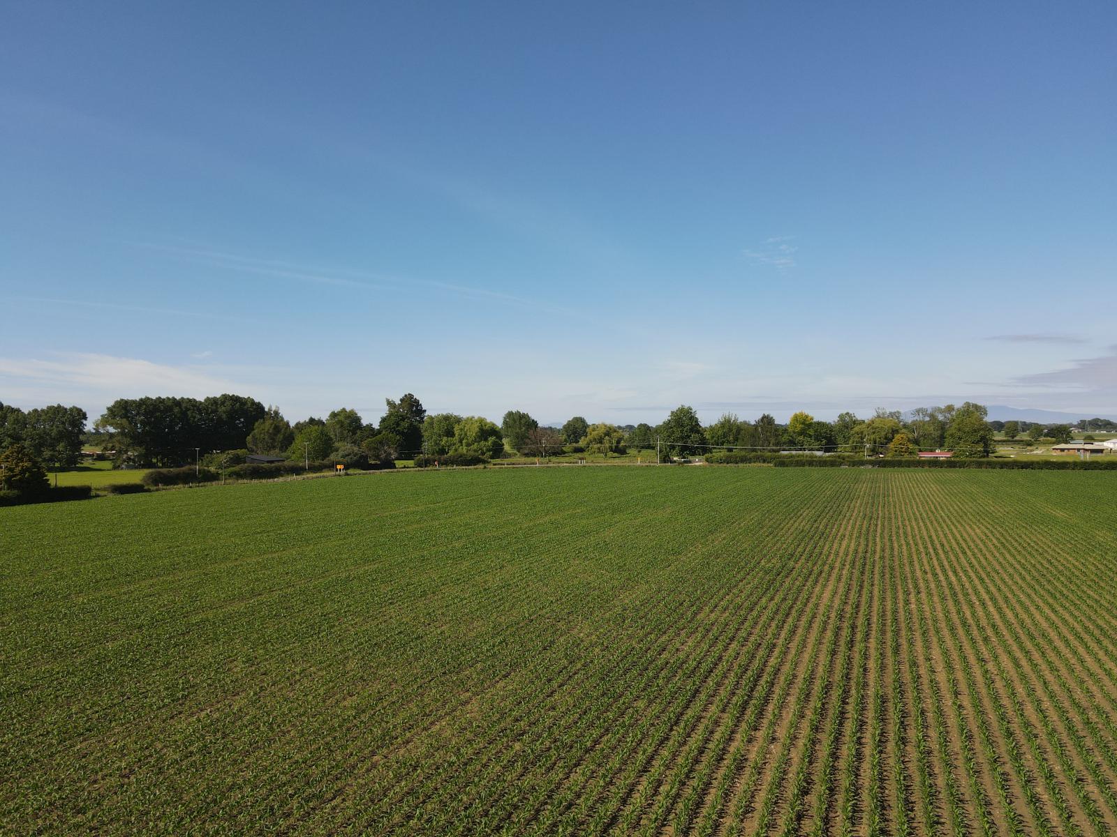 390 Marychurch Road, Matangi