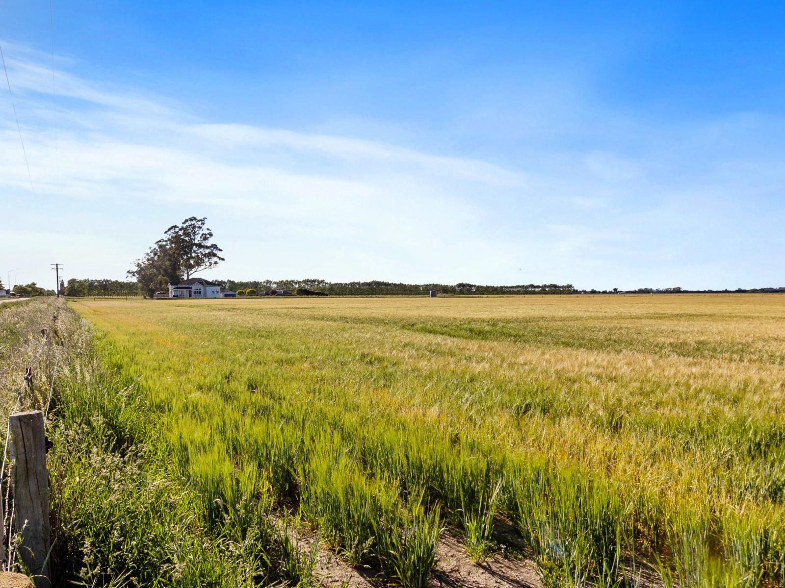 215 Falvey Road, Levels