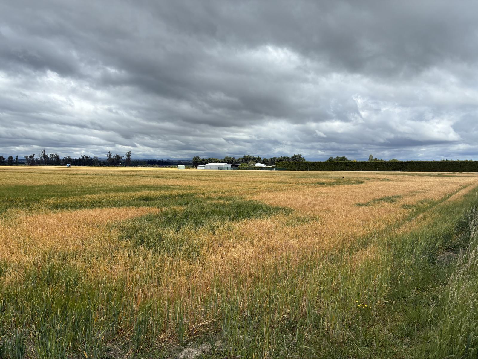 215 Falvey Road, Levels