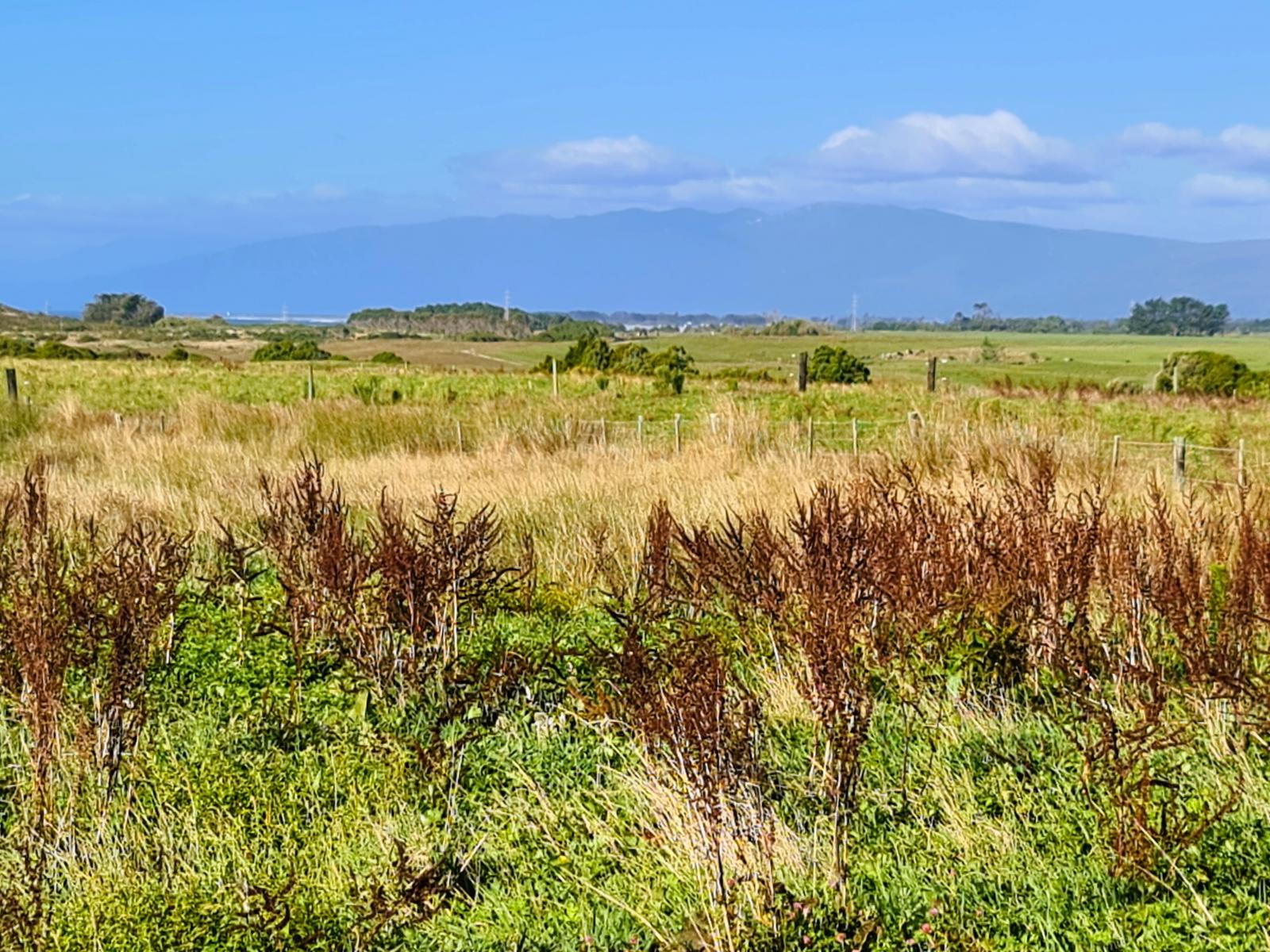 2/1054 Wilsons Lead Road, Cape Foulwind