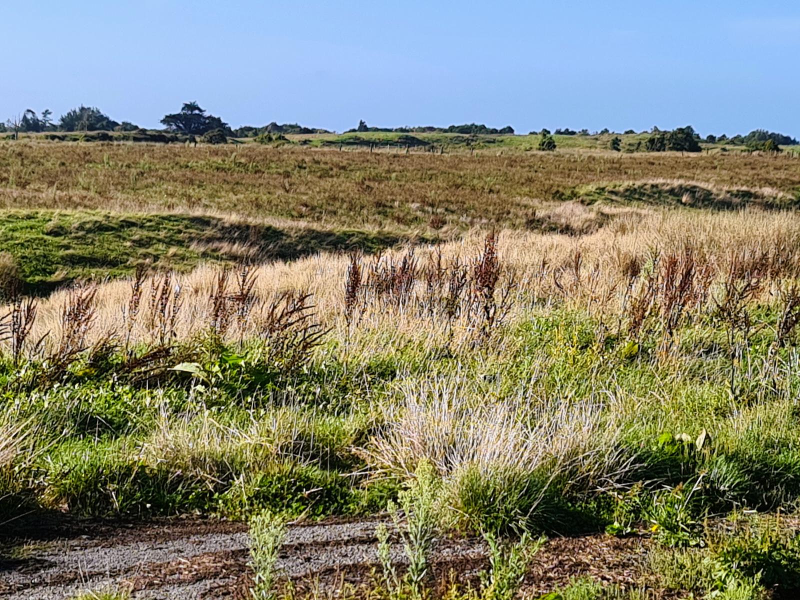 2/1054 Wilsons Lead Road, Cape Foulwind