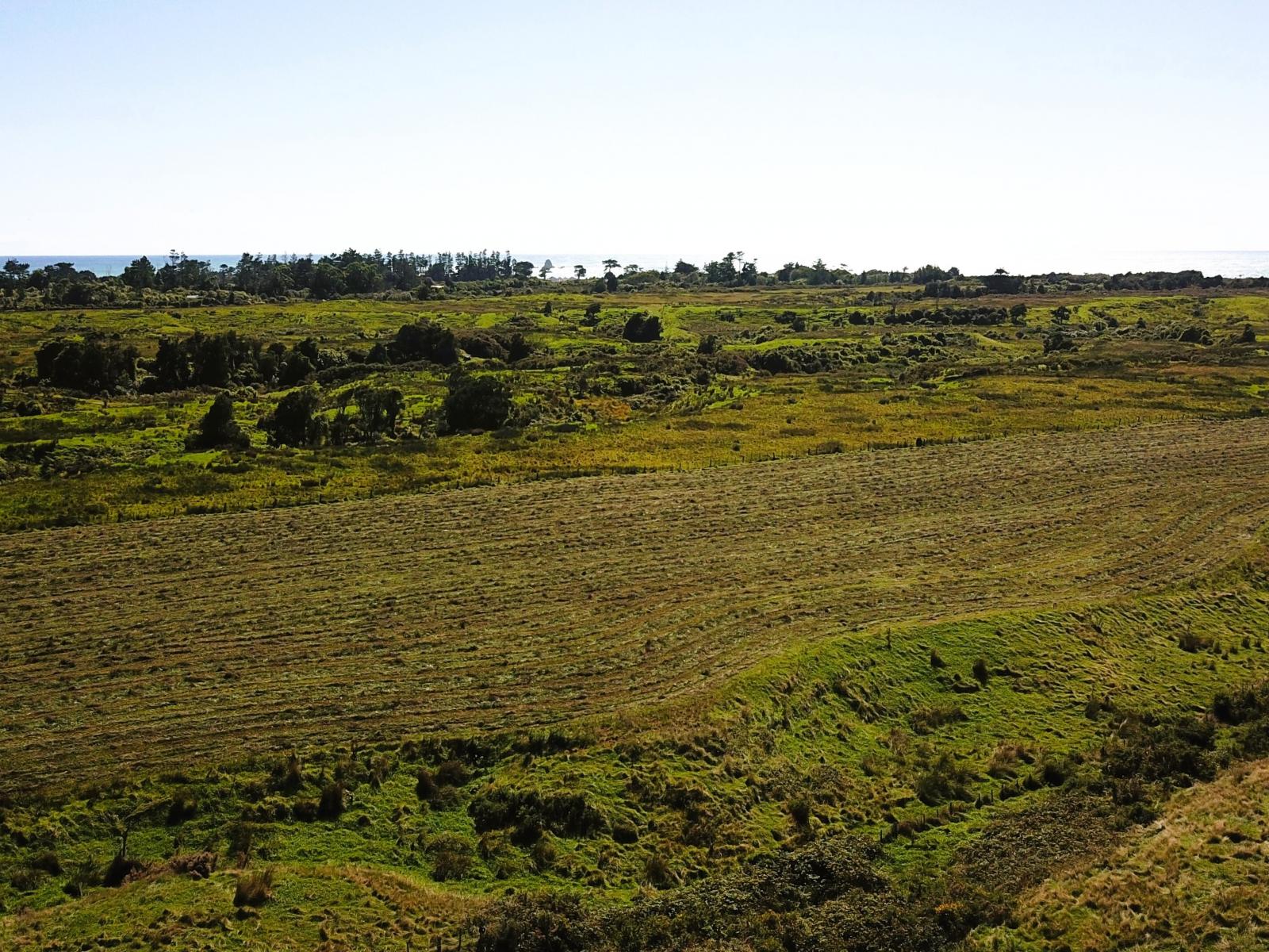 2/1054 Wilsons Lead Road, Cape Foulwind