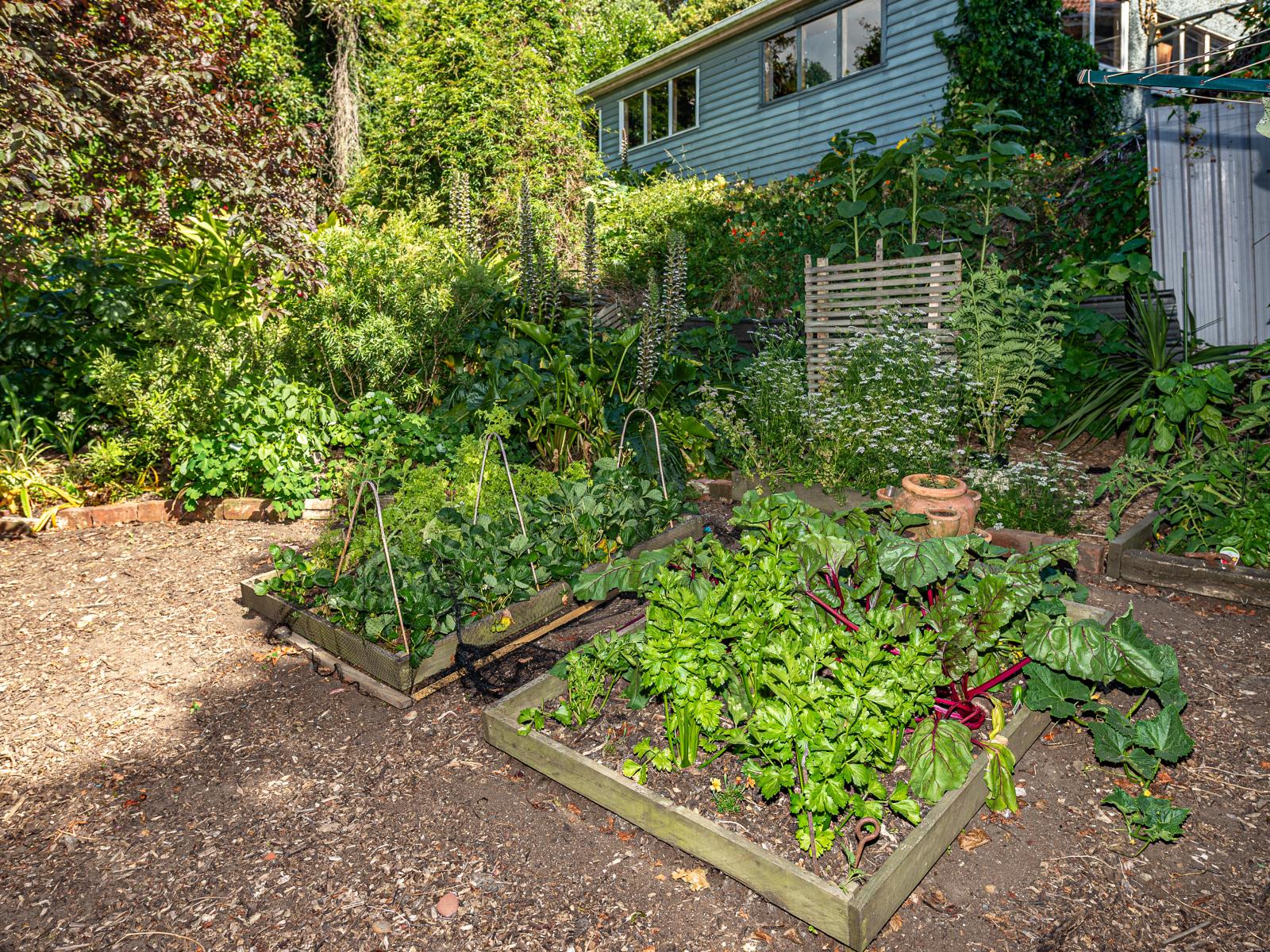 21 Putiki Drive, Durie Hill