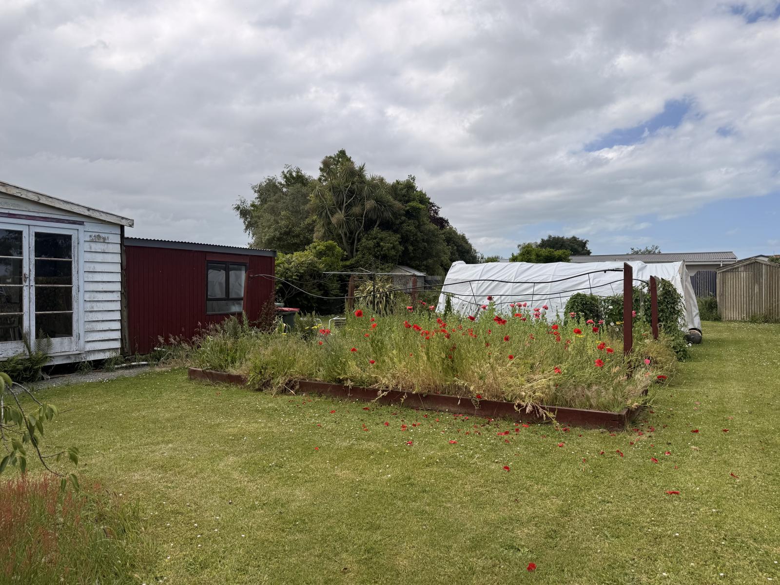50 Wilkin Street, Waimate