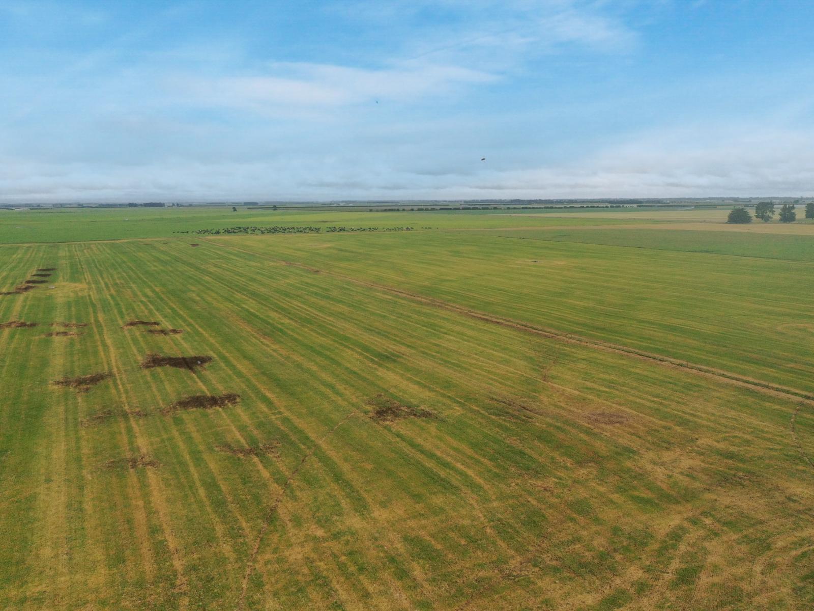 Burnham Road, Temuka