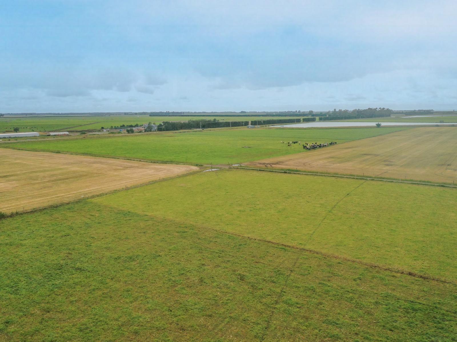 Burnham Road, Temuka