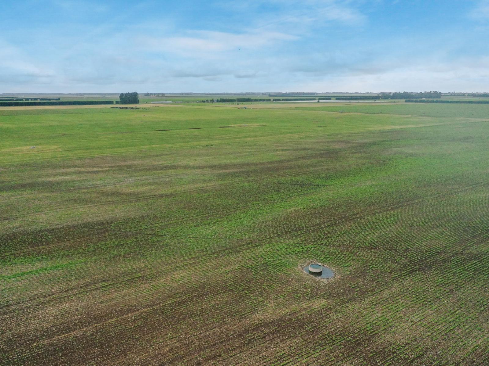 Burnham Road, Temuka