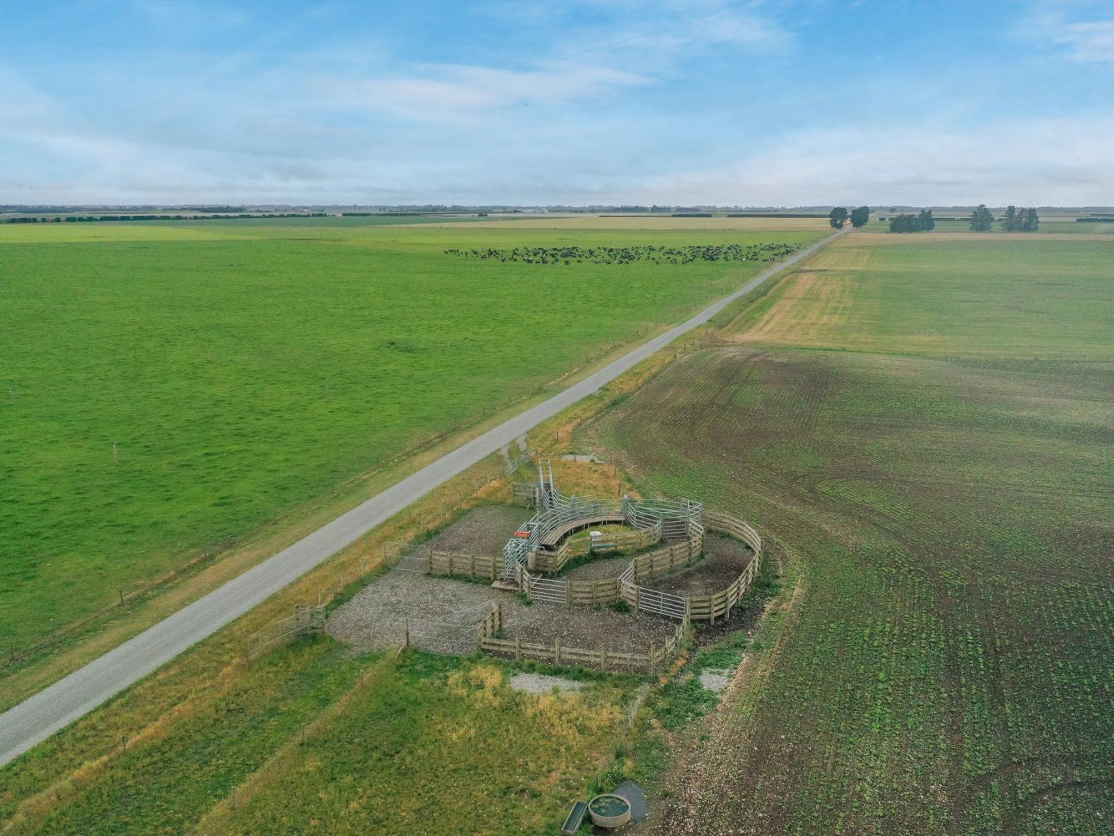 Burnham Road, Temuka