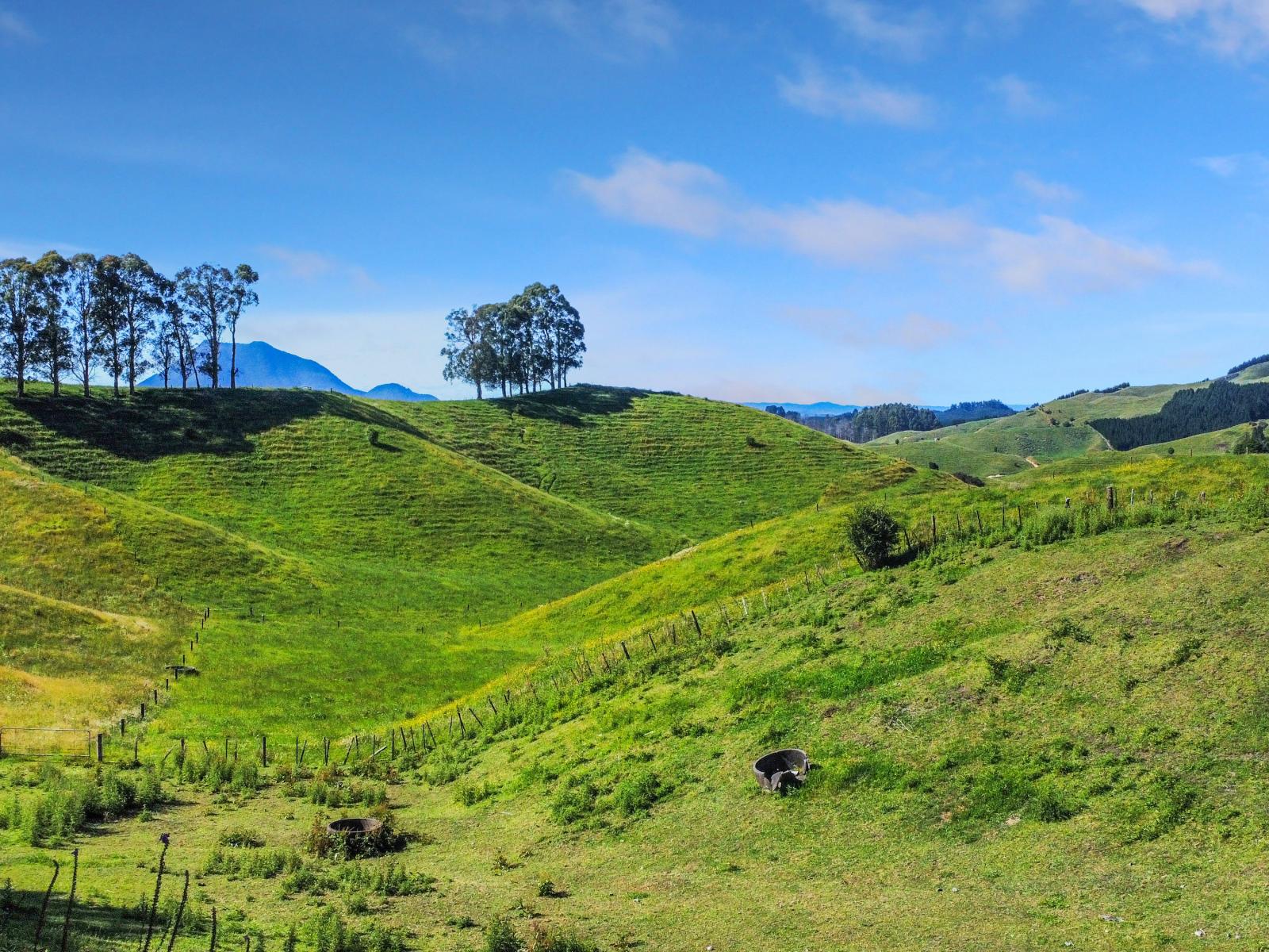 109 McIvor Road, Rotoma