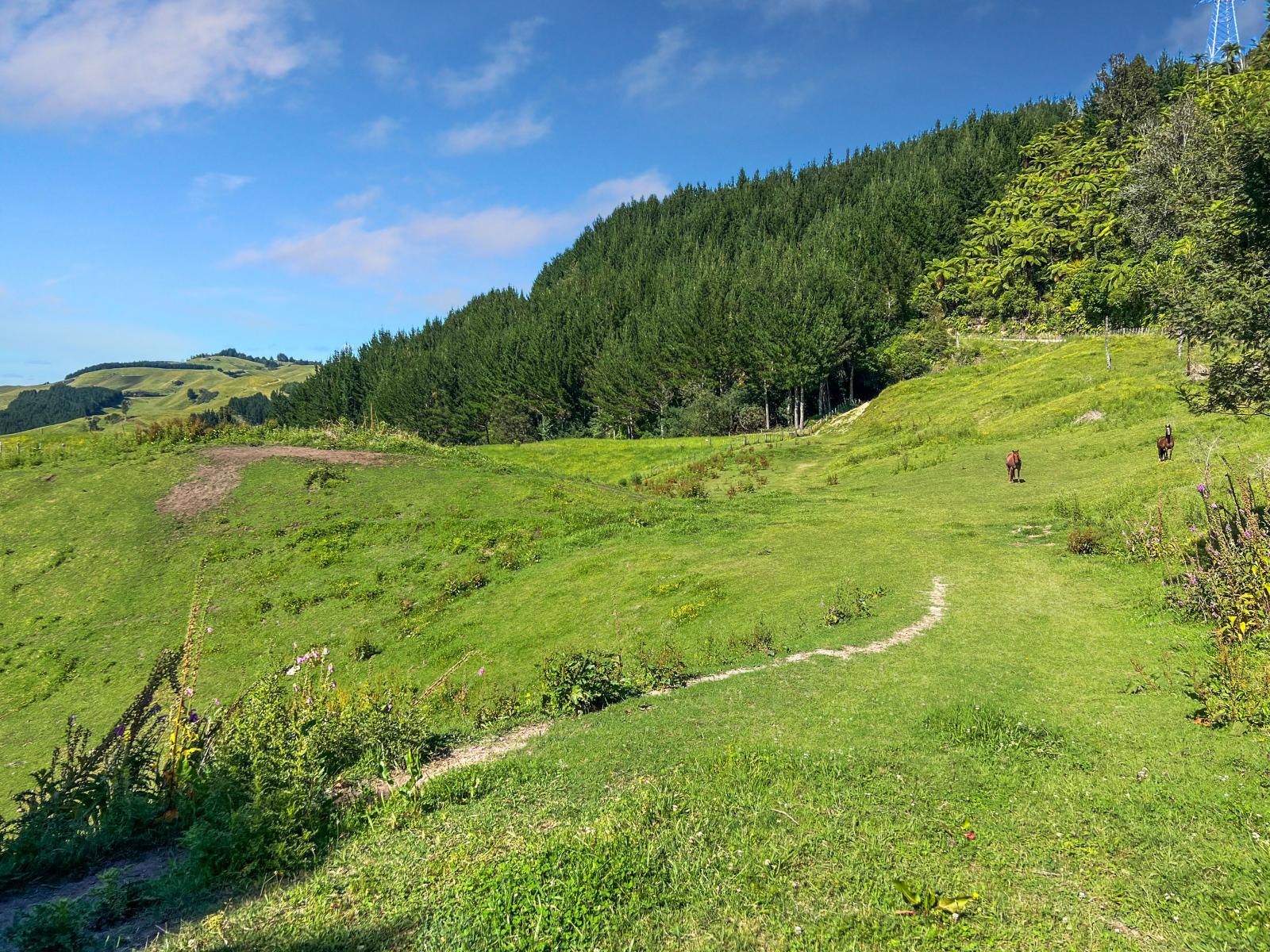 109 McIvor Road, Rotoma