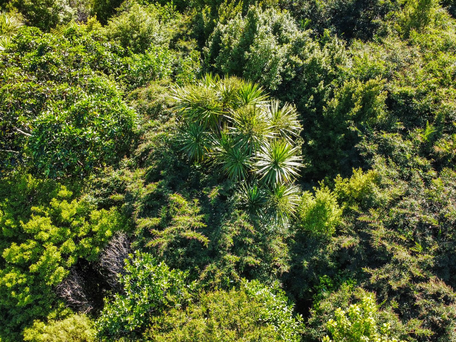 109 McIvor Road, Rotoma