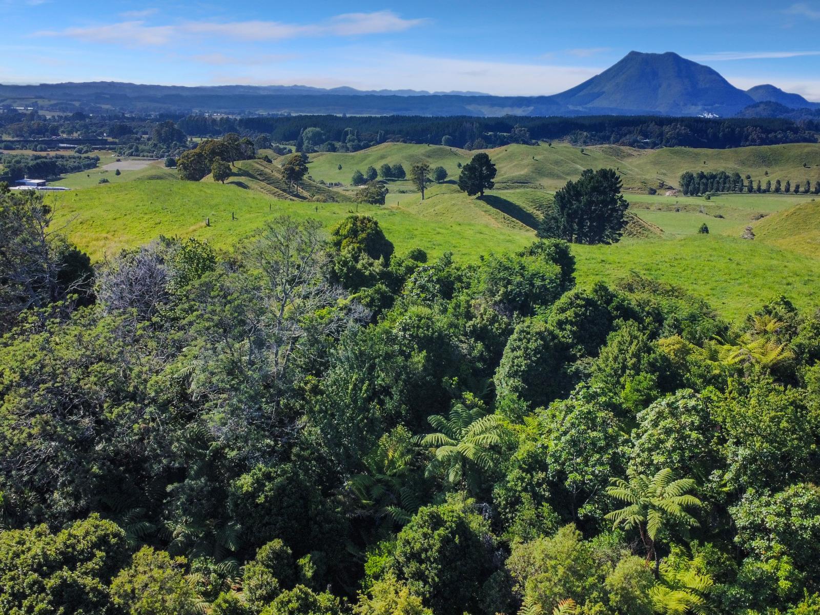 109 McIvor Road, Rotoma