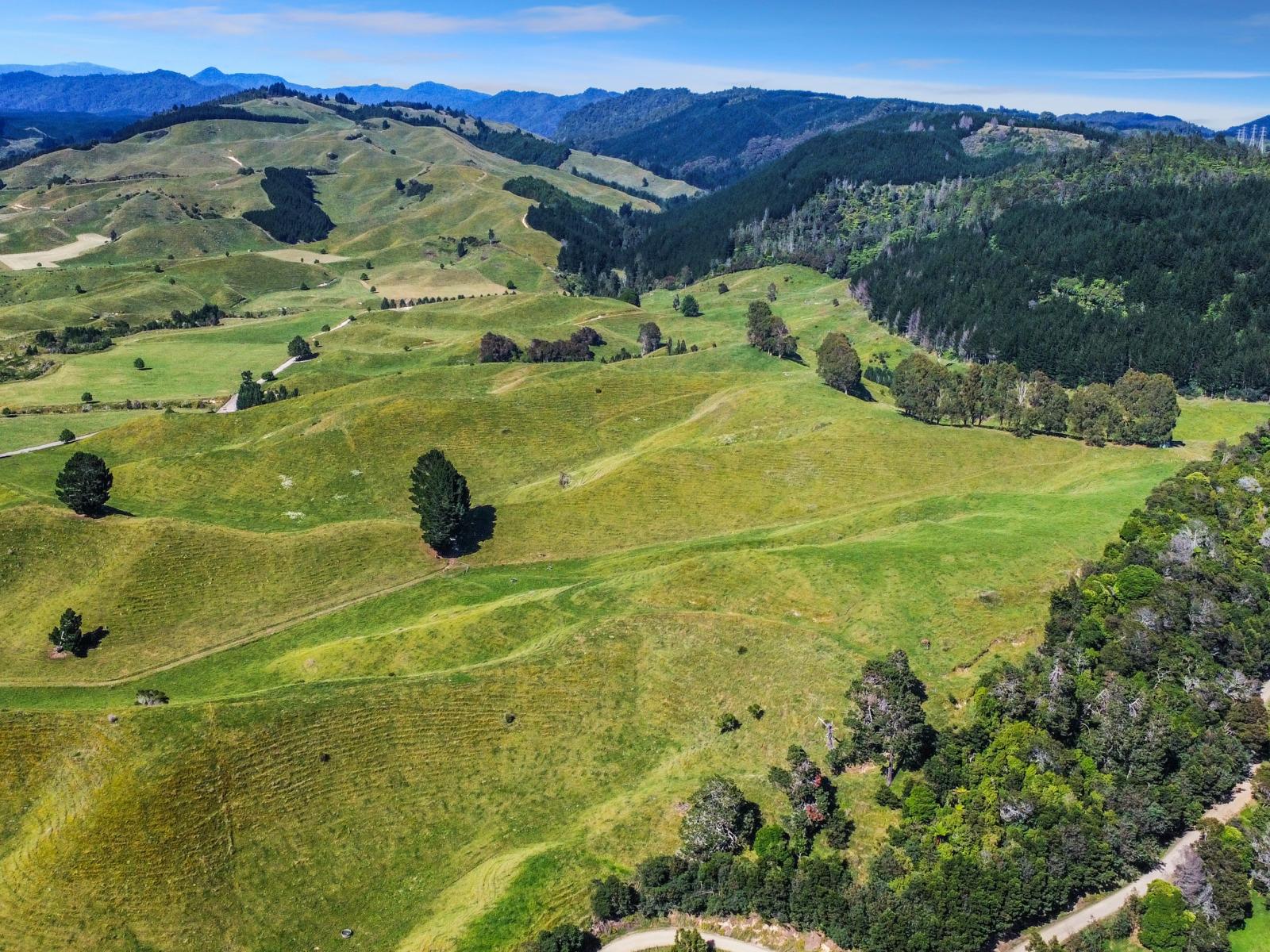 109 McIvor Road, Rotoma