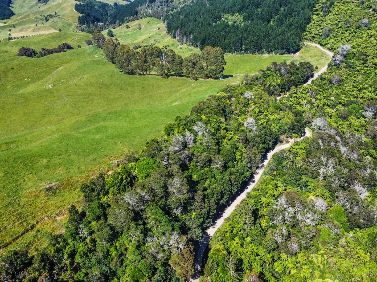 109 McIvor Road, Rotoma