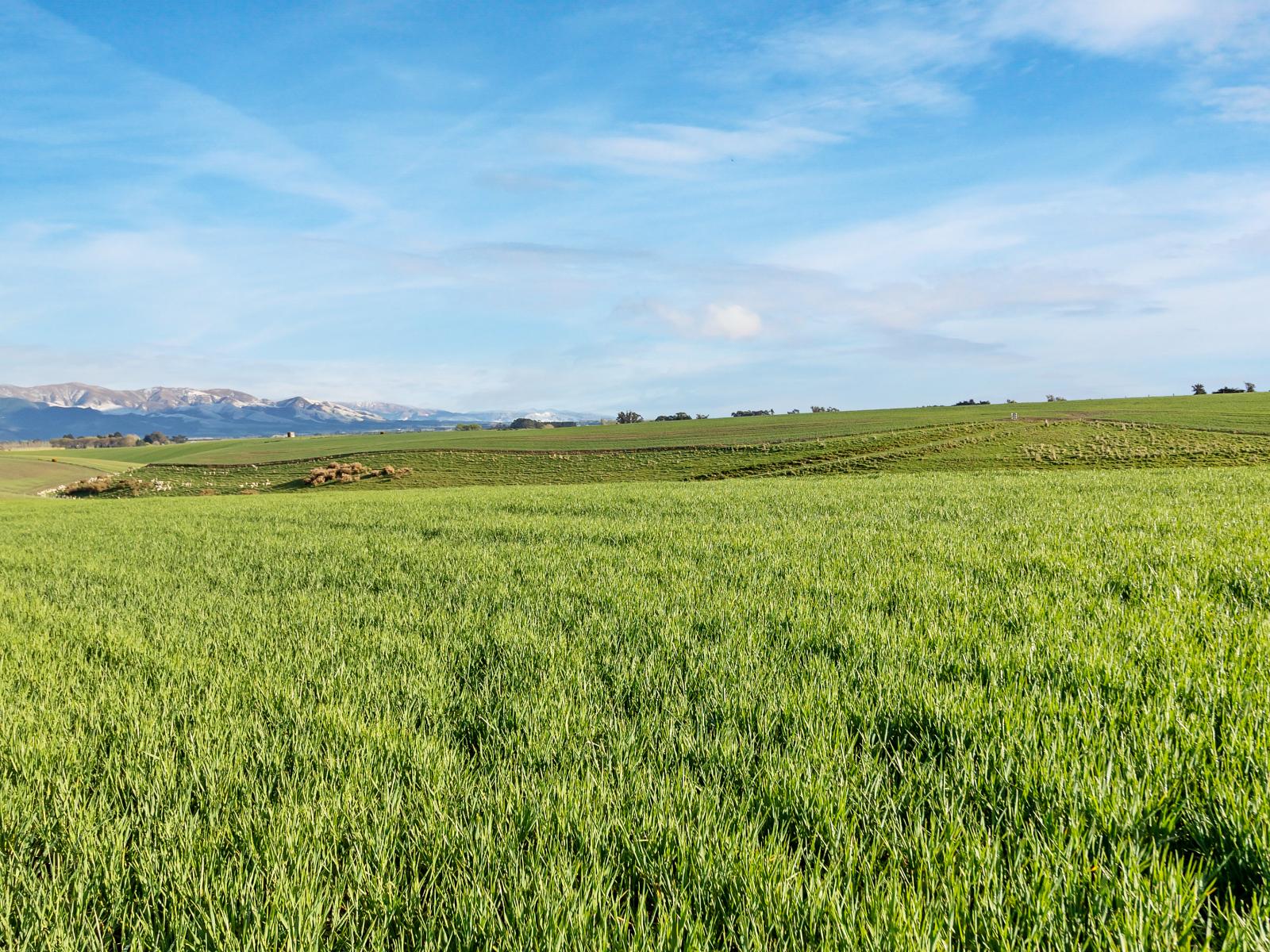 Lot 3 Hook School Road, Makikihi