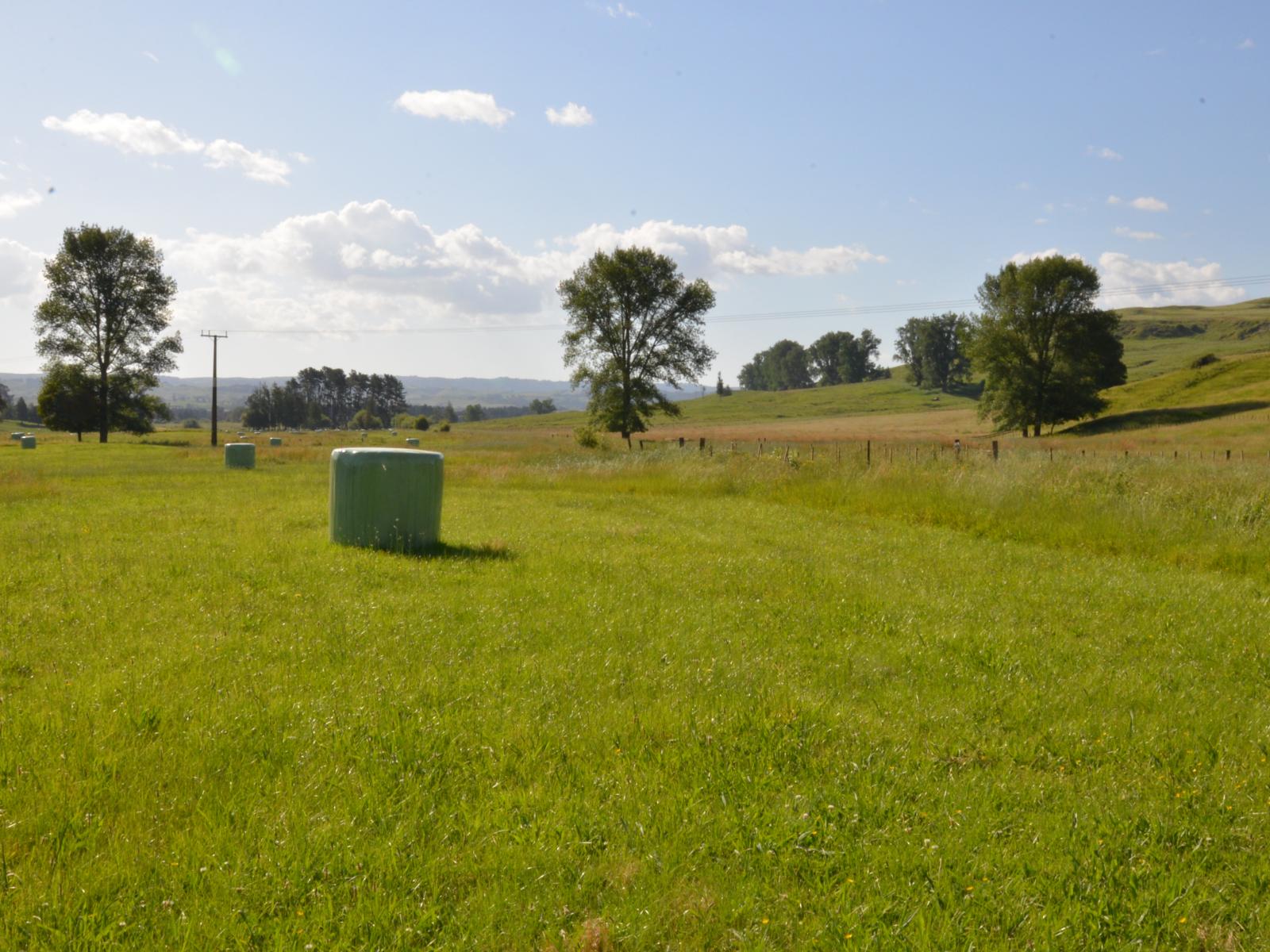 370 State Highway 3, Te Mapara