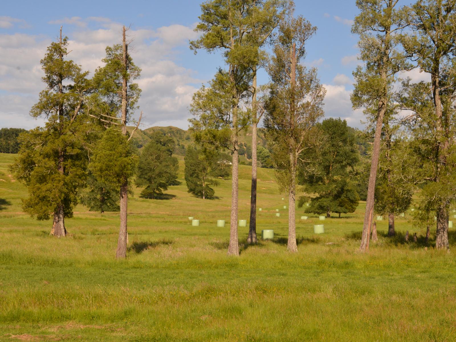370 State Highway 3, Te Mapara