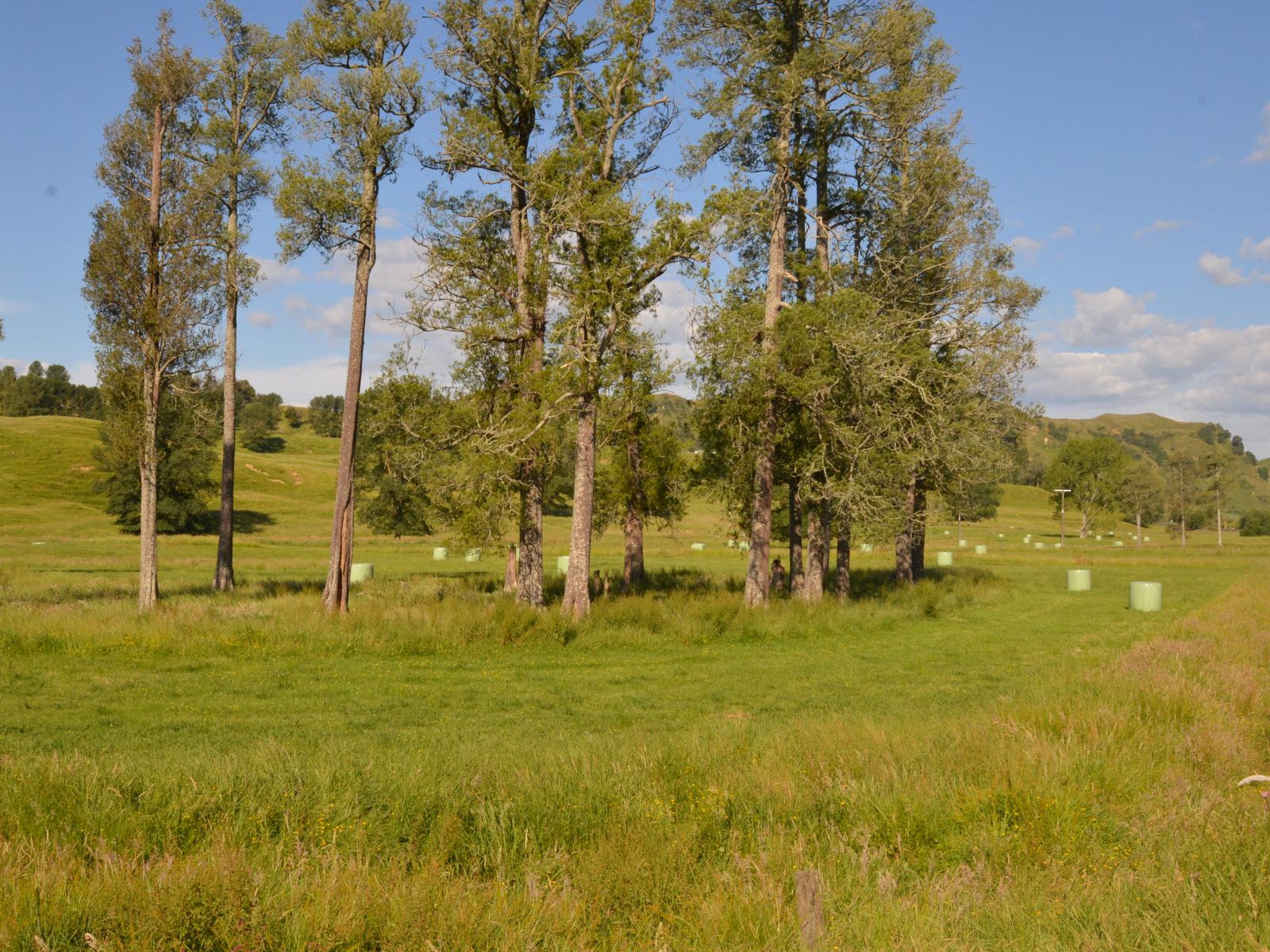 370 State Highway 3, Te Mapara