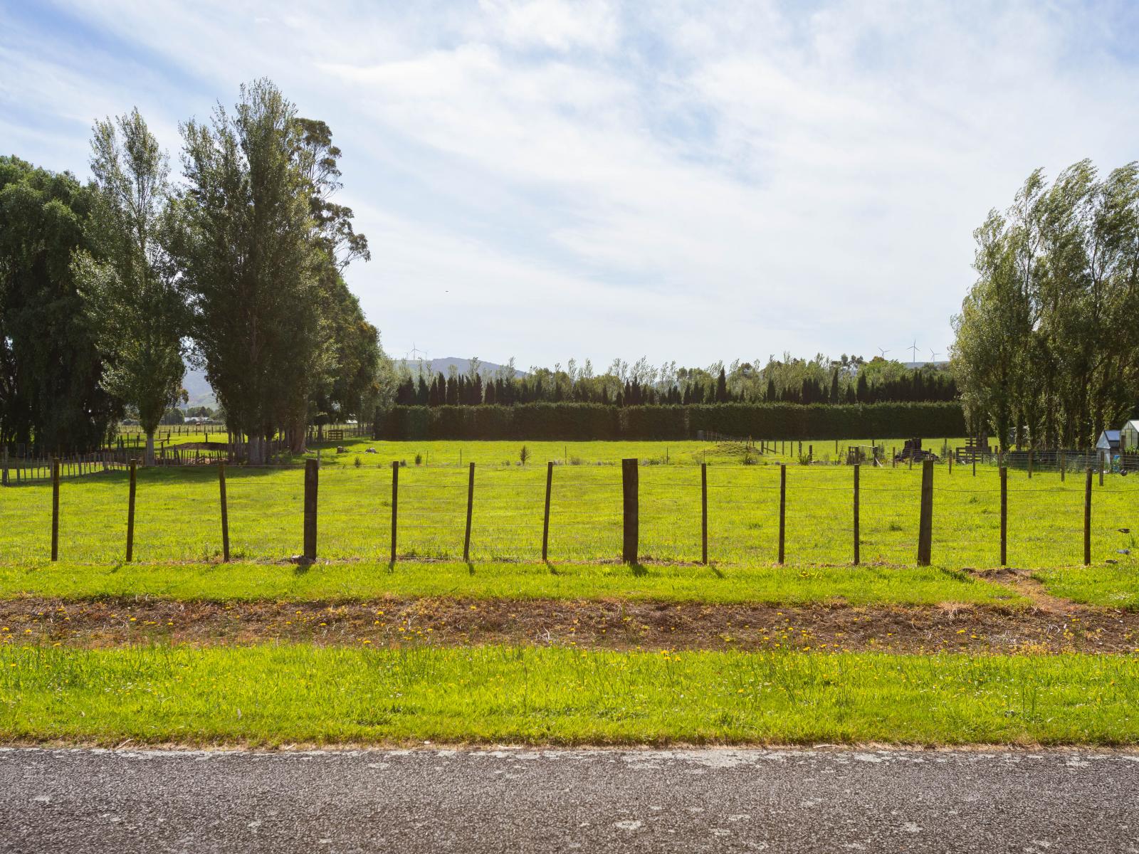 31 Gladstone Street, Woodville