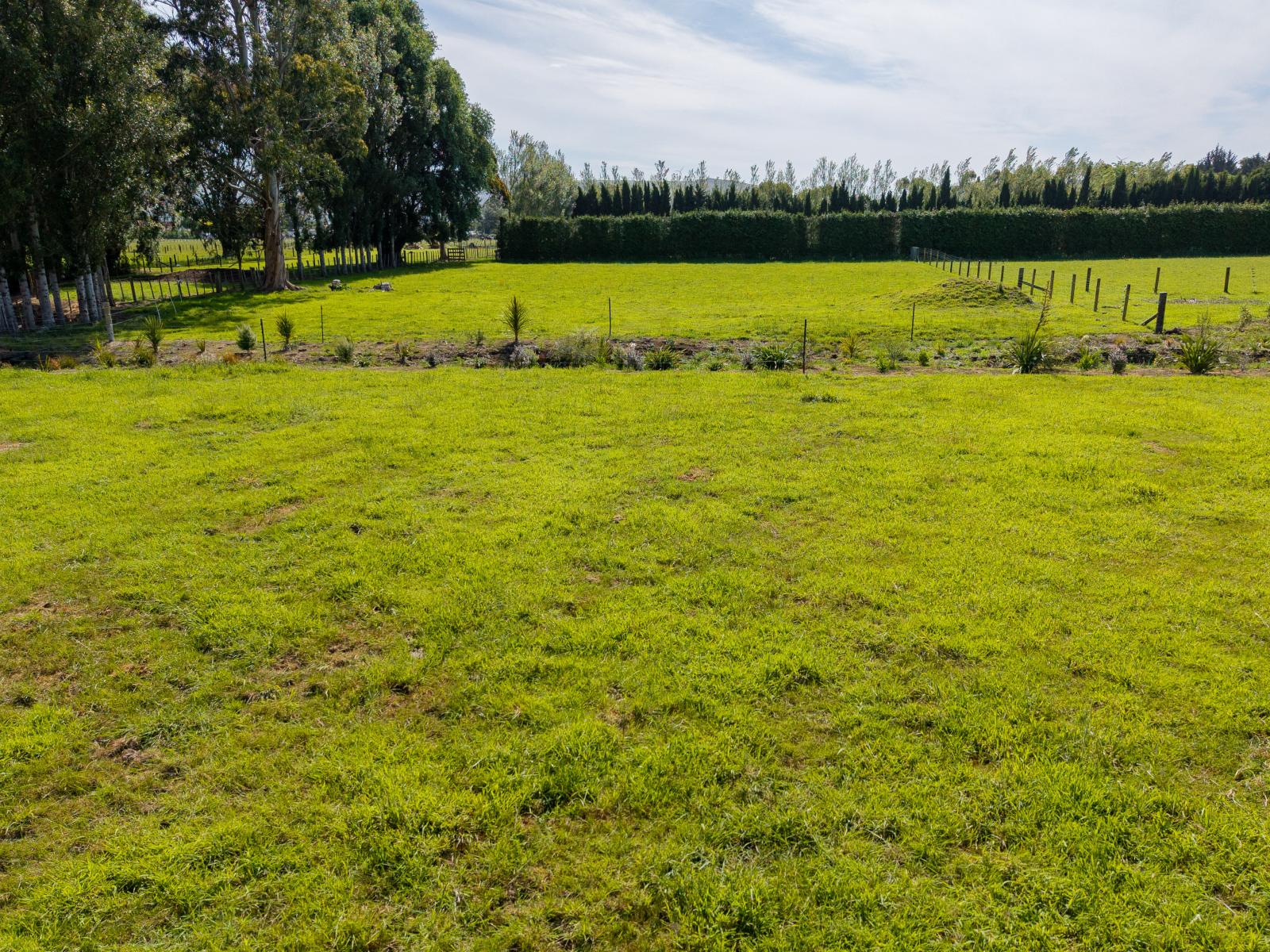 31 Gladstone Street, Woodville