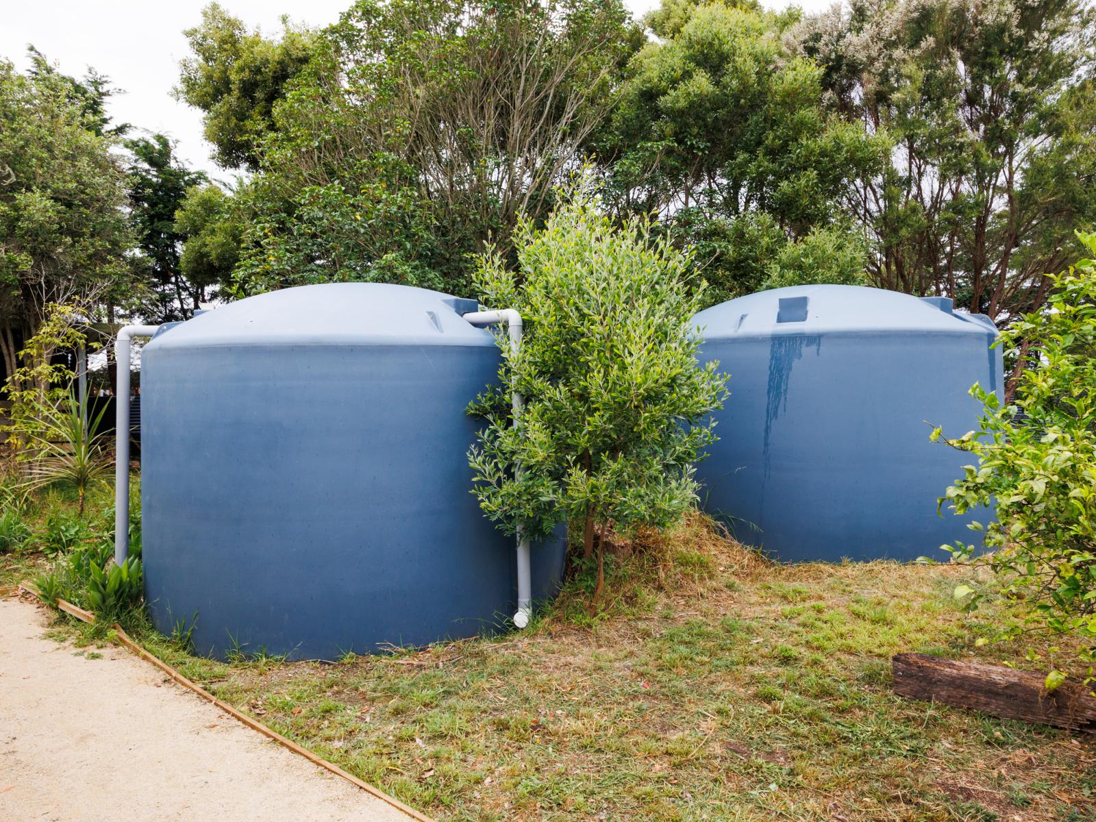 264 Motuiti Road, Foxton