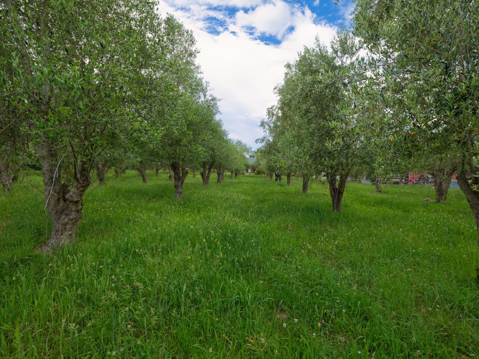 31 Hapuku Road, Kaikoura