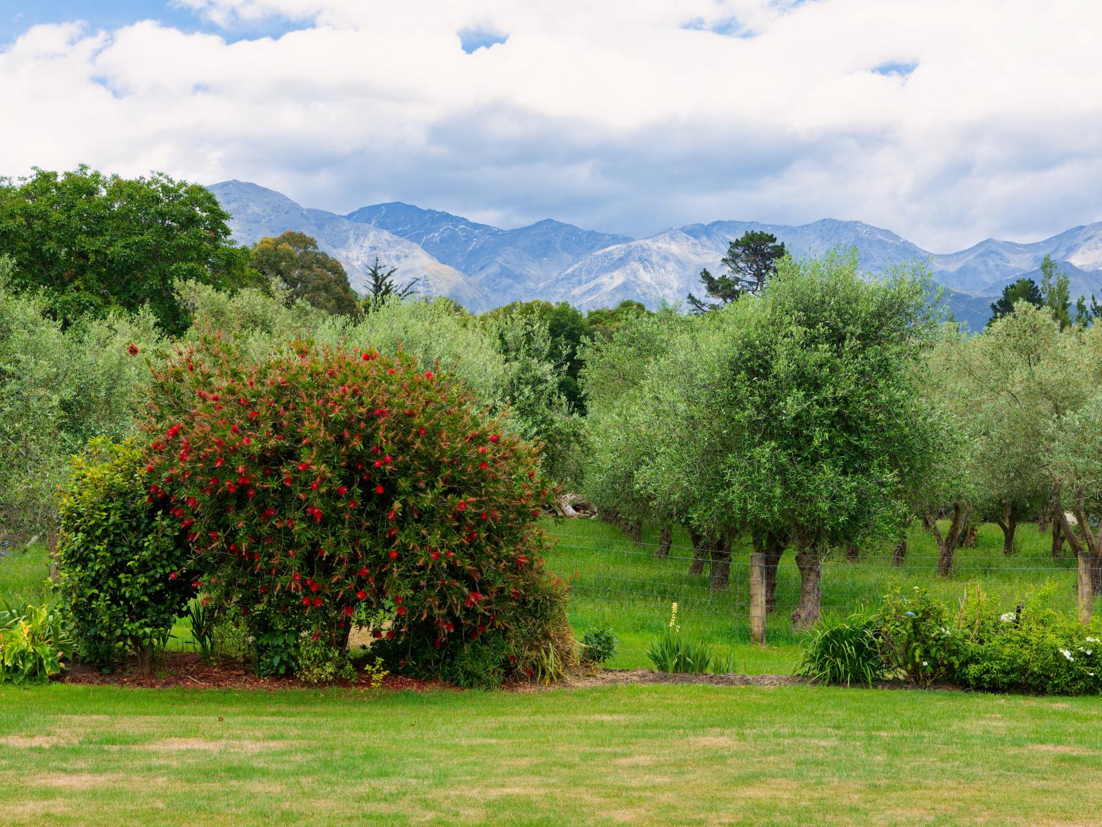 31 Hapuku Road, Kaikoura
