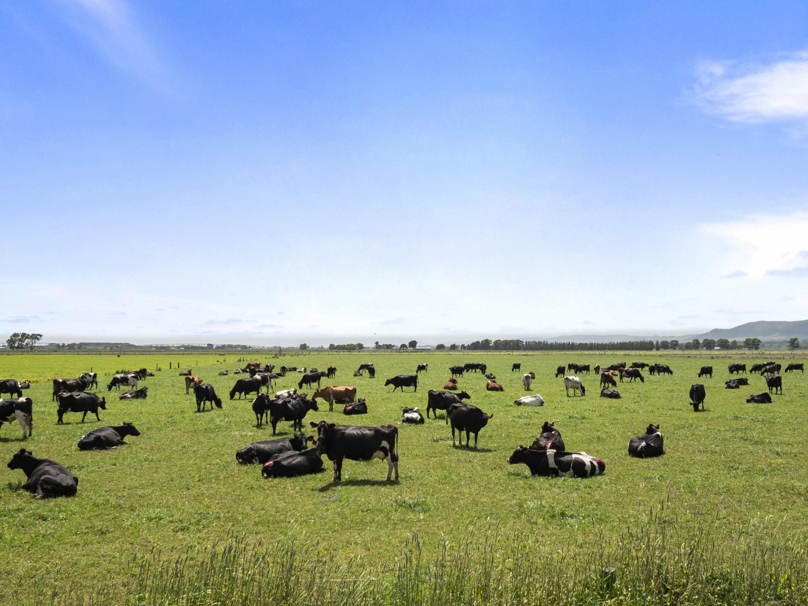 Generational Opportunities, Palmerston North