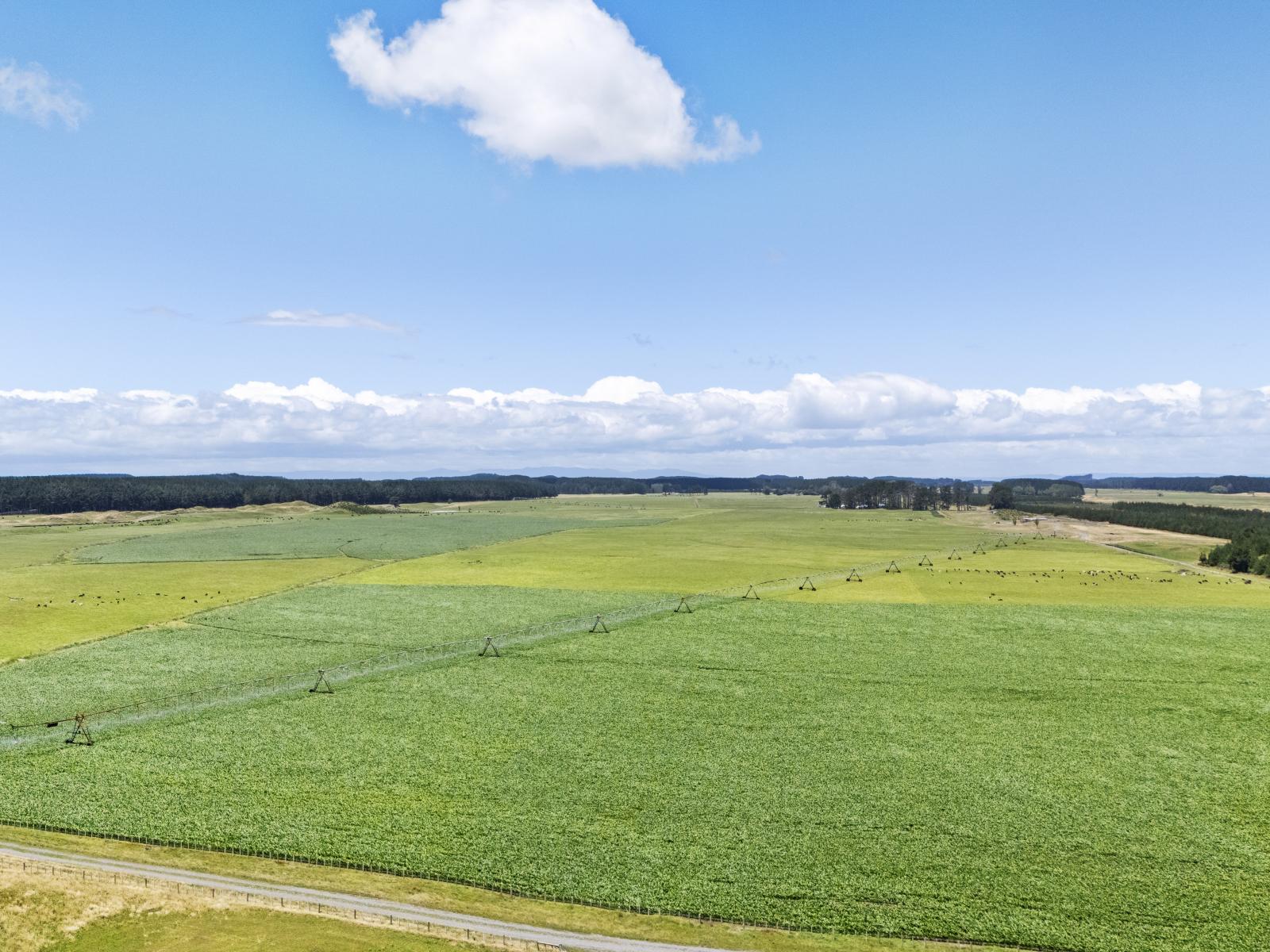 Generational Opportunities, Palmerston North